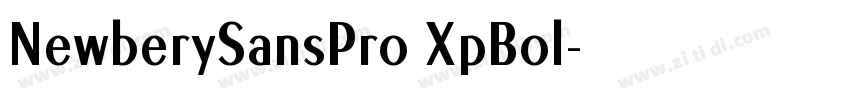 NewberySansPro XpBol字体转换 NewberySansPro XpBol字体转换
